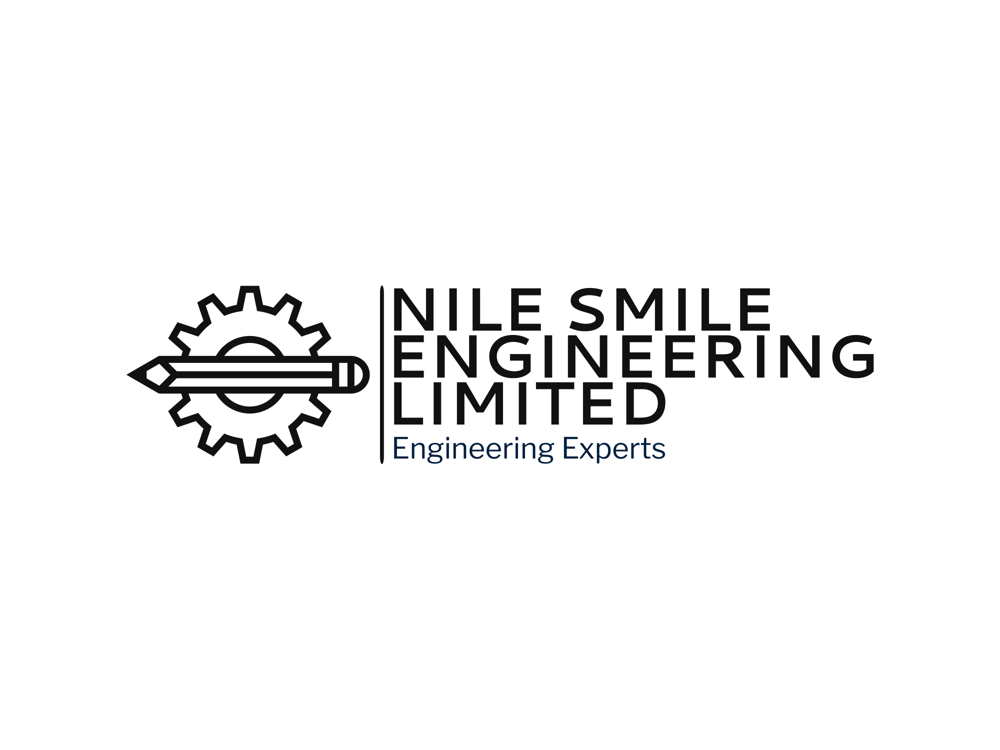 Nile Smile Engineering Limited Logo